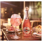 MARTINI 马天尼 rose粉红起泡酒 750ml *2件