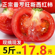 古寨山 沙瓤西红柿 净重5斤 17.8元