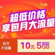 京东自营 中国电信  10元5GB 国内流量 包月