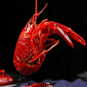 净虾重1kg x2件：蟹小茉 蒜蓉小龙虾 1.8kg(35-50只)   4-6钱