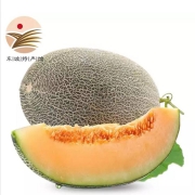 西州蜜 25号哈密瓜 新鲜水果 精品果 5斤*2件