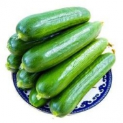 NANGUOXIANSHENG 喃果鲜生 荷兰瓜小黄瓜 净重5斤