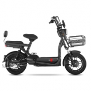 Luyuan 绿源 圣甲虫 电动自行车 48V20Ah锂电池