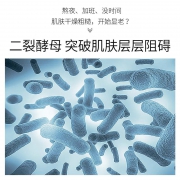 EXGYAN 二裂酵母精华六件套礼盒装水乳精华面霜 79元（需用券）