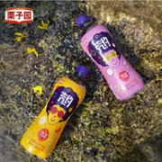 4.9分，0糖0脂0卡：栗子园 汽约 果味气泡苏打水 500mlx12瓶