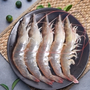 京东PLUS会员：MiaoXiaoEr喵小二 厄瓜多尔冷冻白虾大号 1Kg*2件