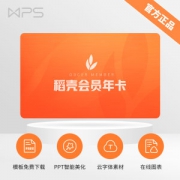 WPS 稻壳会员年卡 官方正版