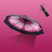 RAINSCAPE雨景 双层小雏菊防紫外线雨伞 券后15.9元起包邮