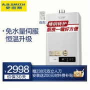 A.O.SMITH 史密斯 JSQ26-VDA1 13升 燃气热水器 （天然气）