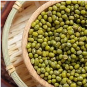 磨谷丰登 新鲜农家绿豆 500g *2件