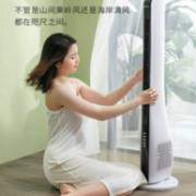商场零头不到：荣事达 家用无叶遥控风扇