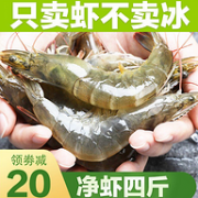 冷链运输、少冰、净2.8-3.2斤： 海捕大虾