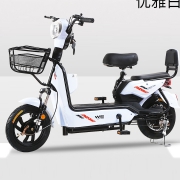中富 TDT011Z 小型电瓶 48V 1069元