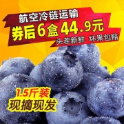 现货山东蓝莓鲜果新鲜蓝莓水果孕妇宝宝大果当季头茬现摘6盒包邮