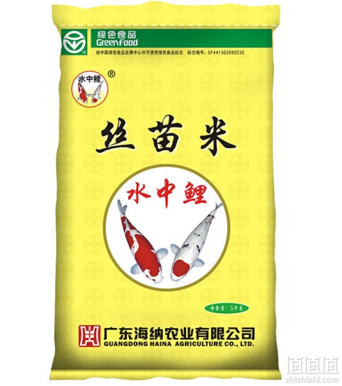 水中鲤南方米