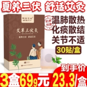 仲古艾业 三伏贴 去湿气 冬病夏治