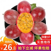 真食 广西百香果 5斤 单果1-2两