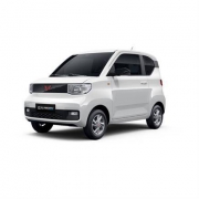 五菱宏光MINI EV 新车预售 宠粉计划  轻松款