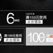 京东自营 生鲜159-6元白条券