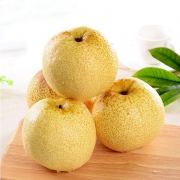 砀宁果品（DANGNINGGUOPIN） 砀山酥梨 5斤装
