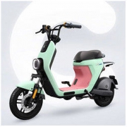Ninebot 纳恩博 C30 新国标版 智能锂电电动车