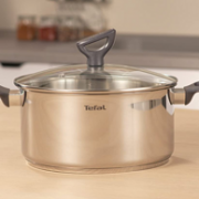 Tefal 特福 Daily Cook 不锈钢汤锅 20cm/3L