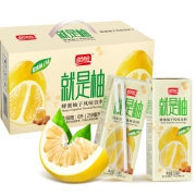 盼盼 蜂蜜柚子味果汁饮料250ml*24盒*2