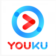 优酷视频 VIP黄金会员 12个月 手机+电脑+平板