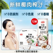 中沃 王屋山泉生榨椰奶椰汁 310ml*12罐整箱装