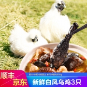 农家散养乌骨鸡 3只装 约600g/只