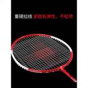 迪科斯 16201 羽毛球对拍