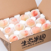 正宗无锡阳山 水蜜桃 12个 单个5两左右