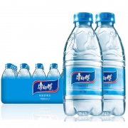 Tingyi 康师傅 饮用水 包装饮用水 380ml*24瓶