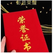 上汇 16K荣誉证书 3D烫金 横竖款可选