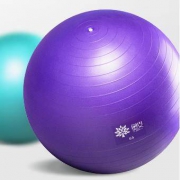 奥义 健身瑜珈球 55cm 送5件套