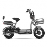Luyuan 绿源圣甲虫电动自行车 48V20Ah锂电池