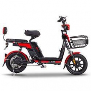 TAILG 台铃 GL5 TDTC03Z 48V锂电 电动自行车