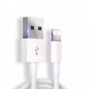 驯龙师  经典白 苹果2A 速充数据线 0.25米