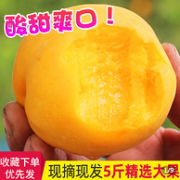 现摘现发 顺丰包邮：黄桃 5斤