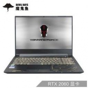 未来人类魔鬼鱼DR520 15.6英寸游戏笔记本电脑(i7-10750H RTX 2060 16G 256G PCIe SSD 1T 144Hz）