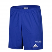 29日0点：ADIDAS 阿迪达斯 短裤男足球训练短裤 AJ5880