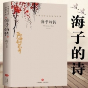 海子的诗  平装 16开 天地出版社