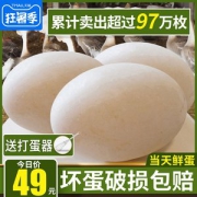 天天向上推荐 颐鲜堂 天然狮头鹅蛋 12枚 大鹅蛋