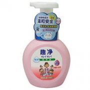 LION 狮王 趣净泡沫洗手液 1瓶装 爽肤香型 250ml *2件