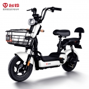 TAILG 台铃 TDT1123Z 男女款真空胎电动自行车