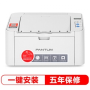 PANTUM 奔图 P2206 黑白激光打印机