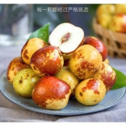 国家地理标志产品 陕西大荔冬枣 5斤