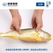 京东PLUS会员：wecook冰鲜大黄鱼 400-500g/条*4条