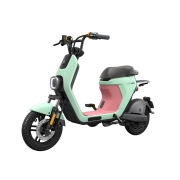新品发售： Ninebot 纳恩博 新国标智能锂电 C30 电动车