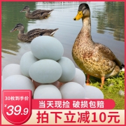 乡公馆 鲜鸭蛋麻鸭绿皮蛋 30枚 29.9元